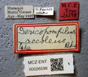 Media type: image;   Entomology 26598 Aspect: labels